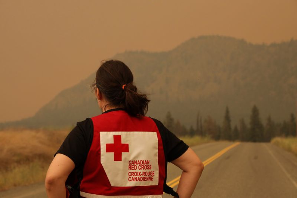 Canadian Red Cross case study